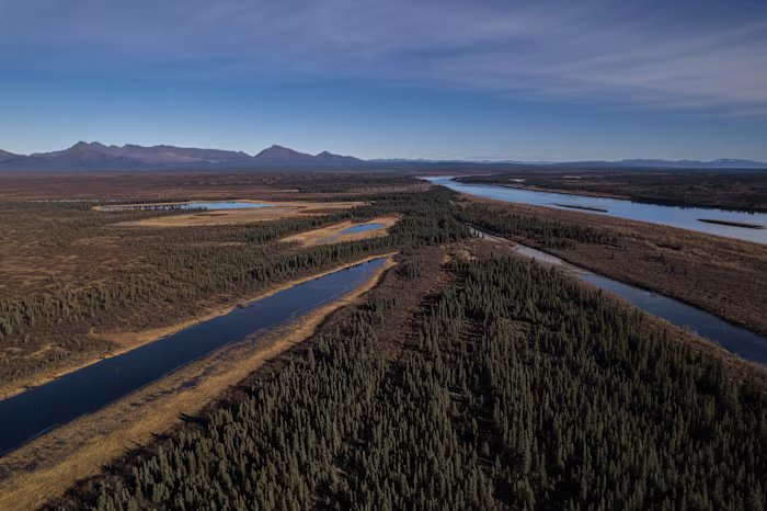 A lush knee-high jungle grows in the Arctic, but warming is changing Earth’s mini-greenhouse