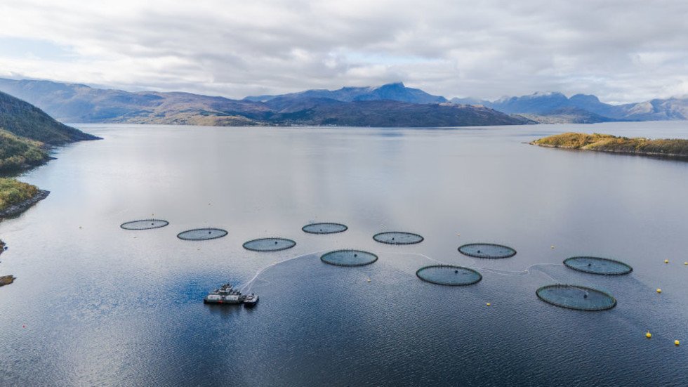 Norway’s fish farm waste ‘triple the country’s sewage’ – report — RT Business News
