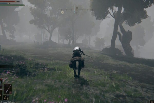 Elden Ring Tarnished Edition UK release time on Nintendo Switch 2 | Gaming | Entertainment