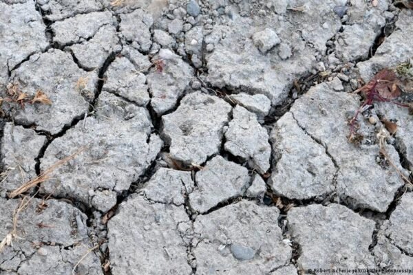 Drought in Germany and Europe are driving up costs
