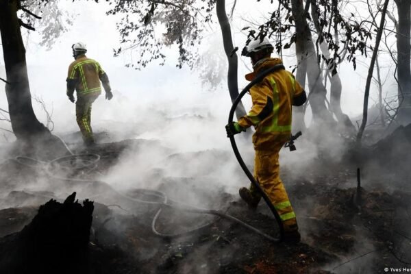 Wildfires: Belgium battles blaze, France’s Lecornu jeered