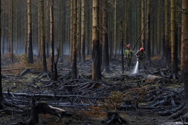Belgium wildfire: Rains help High Fens containment efforts