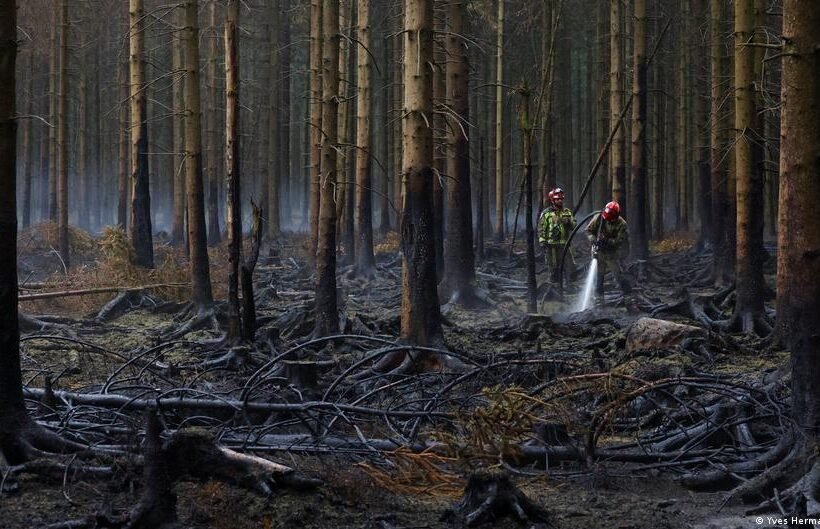 Belgium wildfire: Rains help High Fens containment efforts