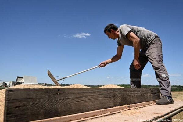 Ukraine’s farmers struggle to sell harvest amid war, drought