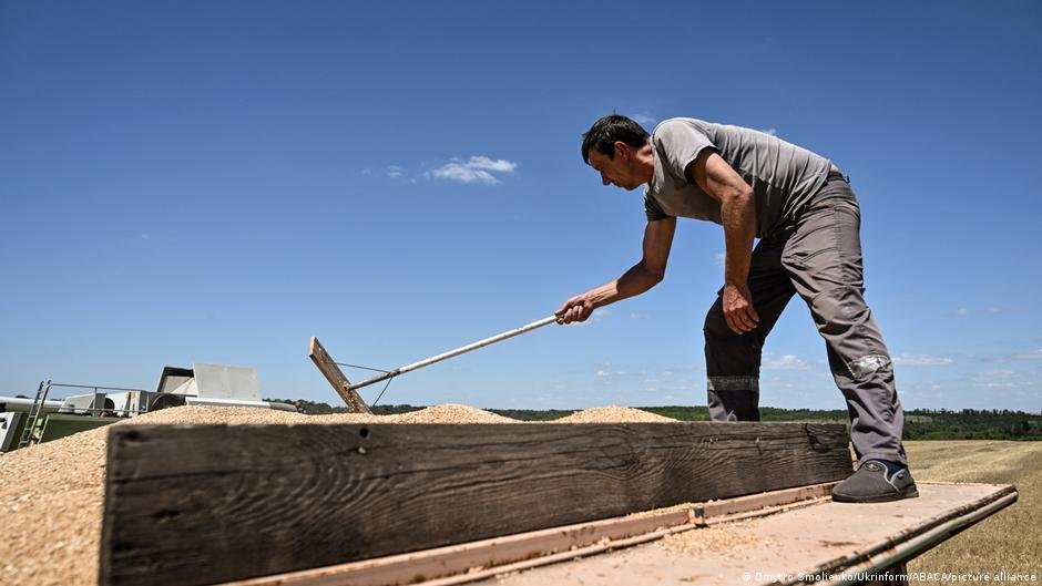 Ukraine’s farmers struggle to sell harvest amid war, drought