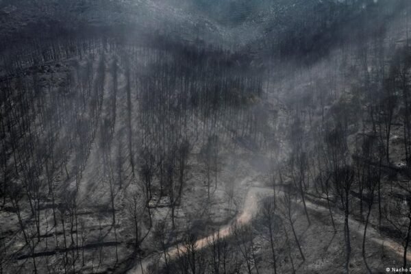 Spain battles forest fire a short drive from flash flood