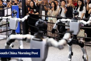 Unitree Robotics surges 629% to US$66 billion valuation in Shanghai share debut