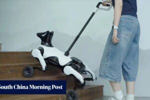 Robot guide dog debuts in China amid severe lack of furry counterparts