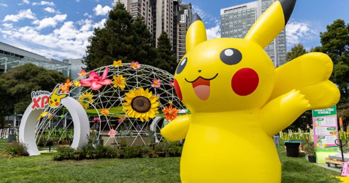 Pokémon World Championships has evolved with XP – but what’s next? | Gaming | Entertainment