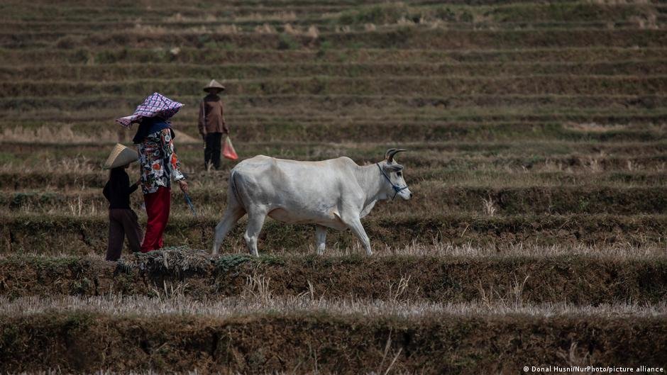 How climate change and food insecurity could fuel conflicts