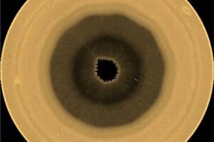 Scientists find a huge 10-sided wave pattern swirling in the clouds over Saturn’s south pole