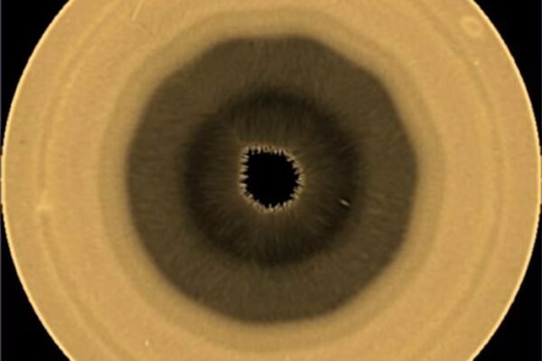 Scientists find a huge 10-sided wave pattern swirling in the clouds over Saturn’s south pole