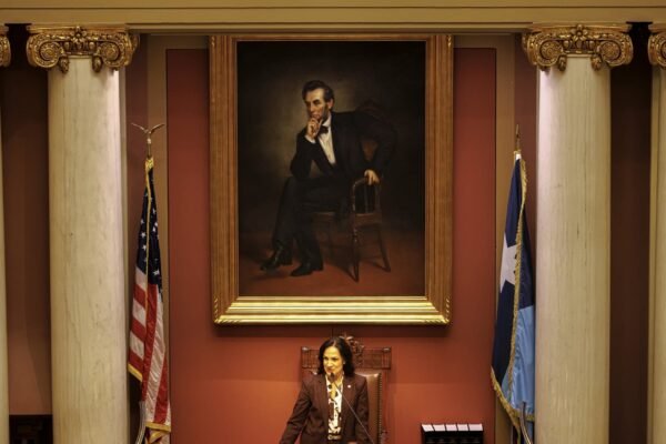 Hugo woman who threatened Minnesota House Speaker Lisa Demuth sentenced to probation