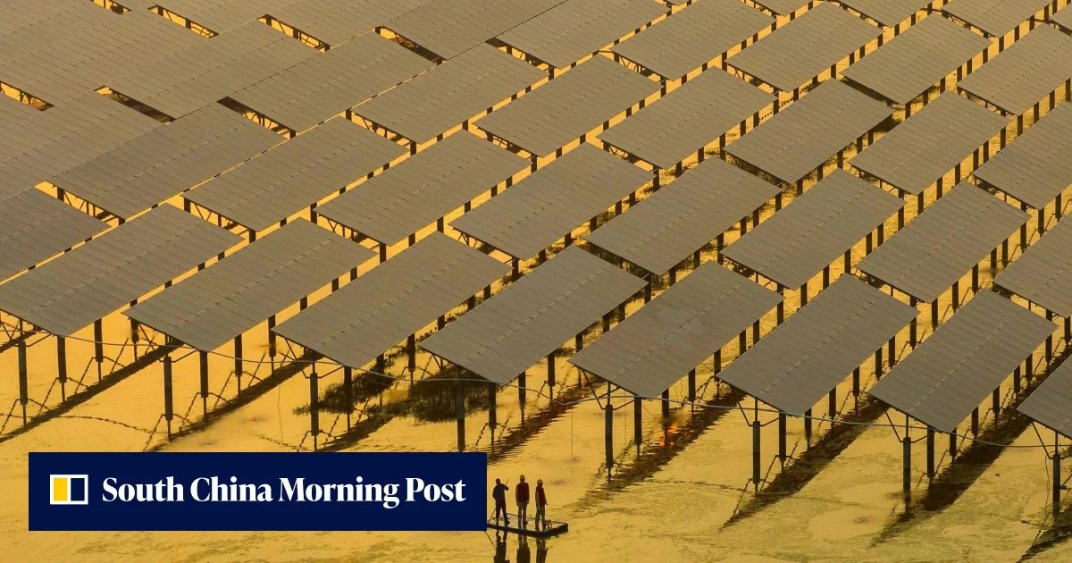 Chinese energy firms warn policy volatility complicates long-term expansion abroad