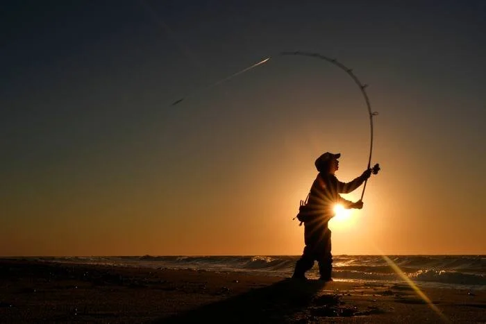 For many, striped bass fishing is a way of life. But the iconic species could face collapse